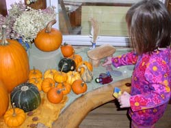 Nature Table - Pumpkins