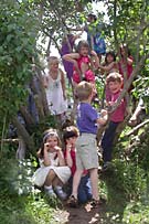 Classmates play in the tree