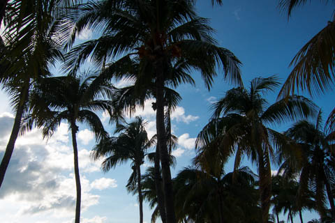 Isla Mujeres photo