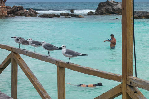 Isla Mujeres photo