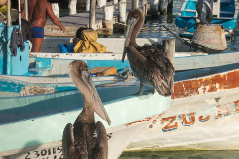 Isla Mujeres photo