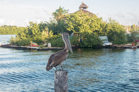 Isla Mujeres photo