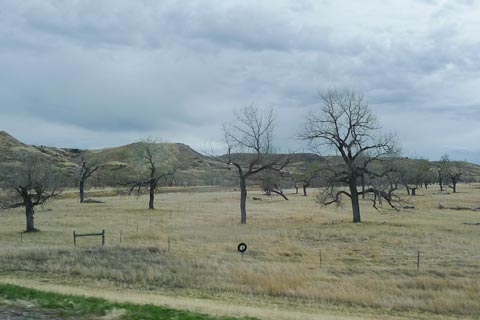 South Dakota photo