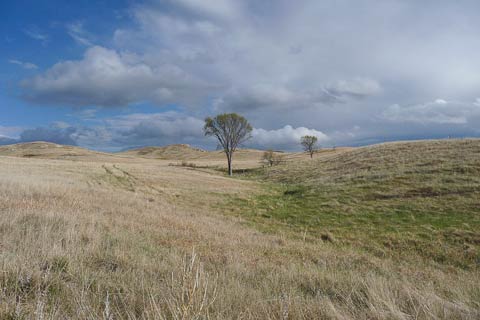 South Dakota photo