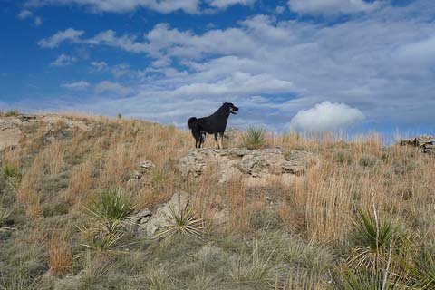 South Dakota photo