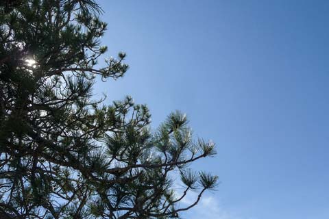 South Dakota photo