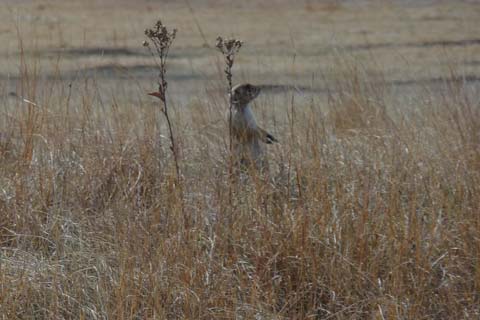 South Dakota photo