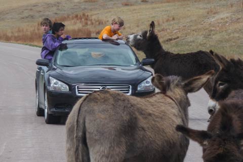 South Dakota photo